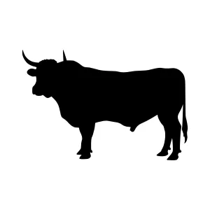 Black Bull Silhouette Vector Graphic