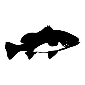 Black Fish Silhouette Vector Graphic