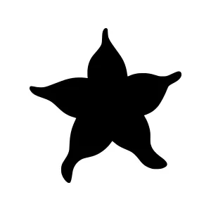 Black Star Silhouette Icon