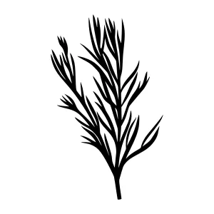 Minimalist Rosemary Branch Illustration