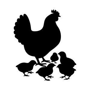 Black Silhouette Rooster and Chicks