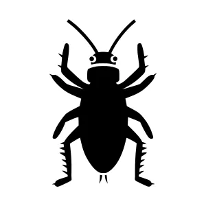 Black Roach Silhouette Vector Icon