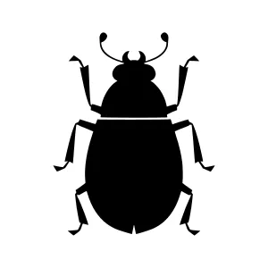 Black Beetle Silhouette Vector Icon