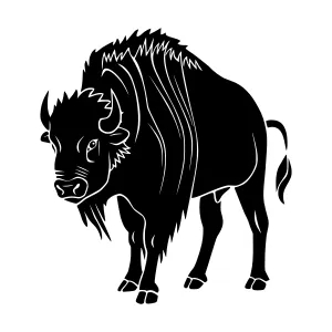 Black Silhouette Bison Illustration