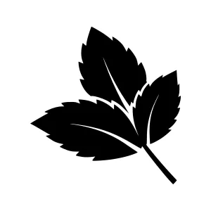 Black Leaf Icon - Minimalist Vector Graphic