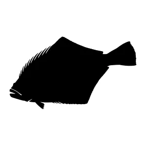 Silhouette Fish Graphic - Black on White