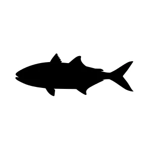 Black Fish Silhouette Vector Graphic