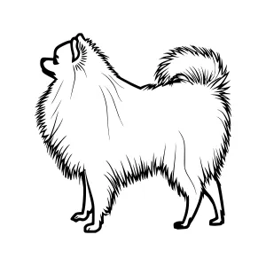 Siberian Husky Silhouette - Black & White Line Art