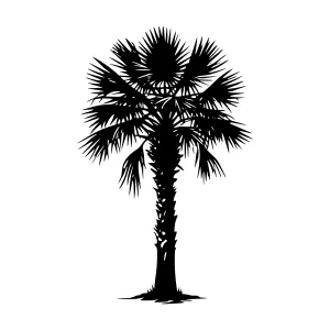Palm Tree Silhouette Vector Illustration