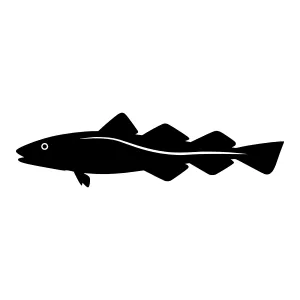 Black Cod Silhouette Vector Graphic