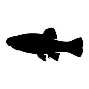 Black Fish Silhouette Vector Illustration