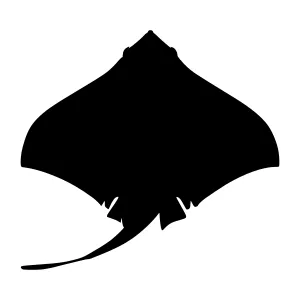 Silhouette Stingray Vector Graphic