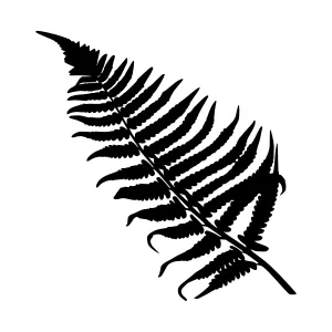 Black Fern Leaf Silhouette Vector