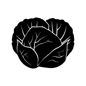Black Cabbage Silhouette Vector Illustration