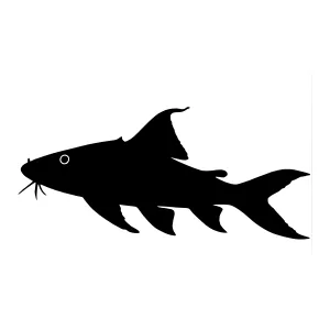 Black Catfish Silhouette Vector Illustration