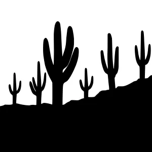 Desert Silhouette Cactus Landscape