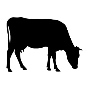 Black Cow Silhouette - Farm Animal Vector