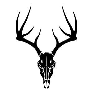 Deer Skull Silhouette - Black on White