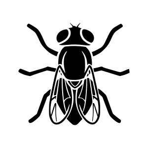 Black Fly Icon - Vector Illustration
