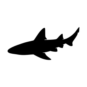 Shark Silhouette Vector Icon