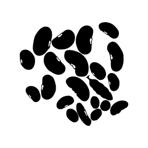 Black Bean Silhouette Vector Illustration
