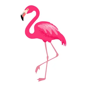 Pink Flamingo Illustration - Cartoon Style