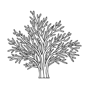 Line Art Tree Silhouette - Minimalist Design