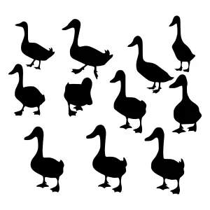 Duck Silhouettes - Black & White Vector Illustration