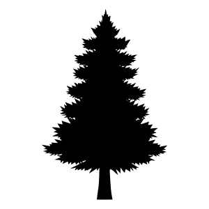 Black Pine Tree Silhouette Vector Illustration