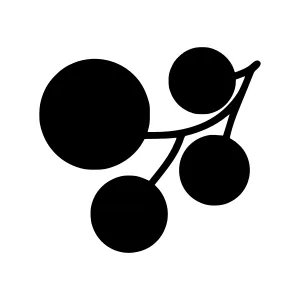 Black Berry Branch Icon - Simple Vector Illustration
