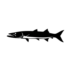 Shark Silhouette Vector Illustration