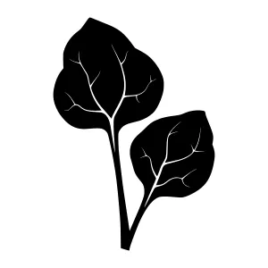 Black Leaf Silhouette Vector Illustration