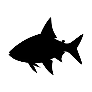 Black Fish Silhouette Vector Icon