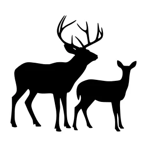 Silhouette Deer Pair - Minimalist Design