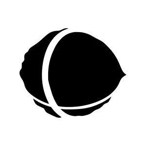 Minimalist Walnut Icon - Vector Illustration