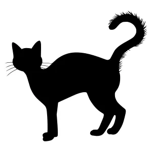 Black Cat Silhouette Vector Illustration
