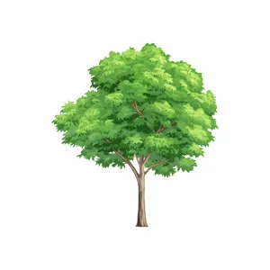 Green Tree Illustration - Vector Graphic