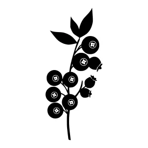 Black Blueberry Branch Silhouette