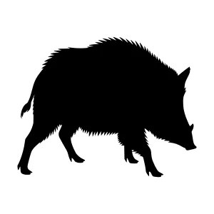 Silhouette Pig Wild Boar Animal Vector Graphic