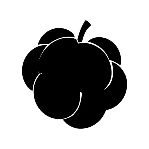 Black Plum Silhouette Icon