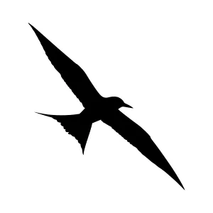 Silhouette Bird Flying - Minimalist Vector Graphic