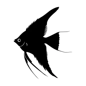 Black Angel Fish Silhouette Vector Illustration
