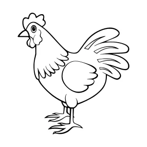 Cartoon Chicken Illustration - Black Outline