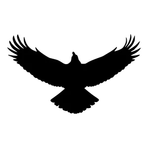Black Eagle Silhouette - Minimalist Graphic