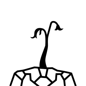 Silhouette Tree on Cracked Earth