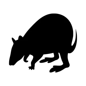 Black Armadillo Silhouette Vector Graphic