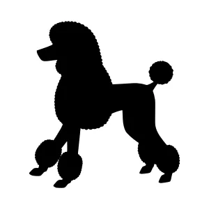 Poodle Silhouette Vector Illustration