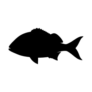 Black Fish Silhouette Vector Icon