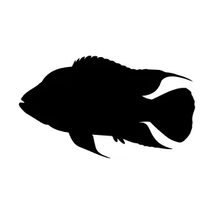 Black Silhouette Fish Vector Graphic