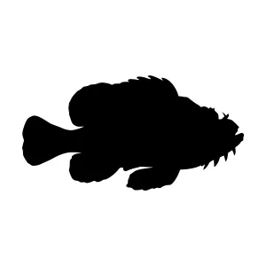 Black Fish Silhouette Vector Graphic